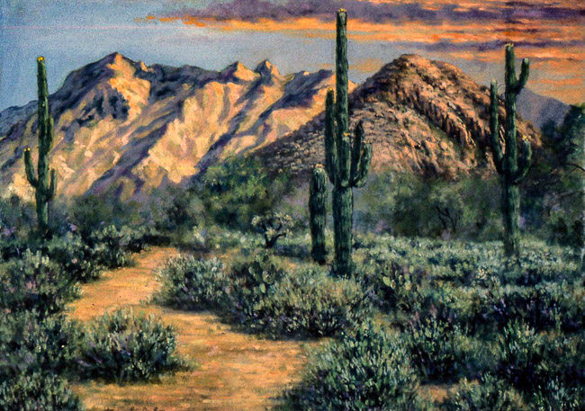 Sonoran Desert, Tucson