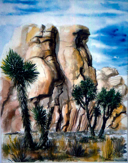 Joshua Tree Scene